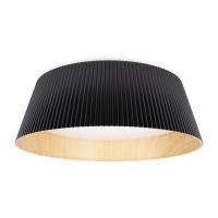 Потолочный светодиодный светильник Loft IT Evans 10224 Black Потолочный светодиодный светильник Loft IT Evans 10224 Black