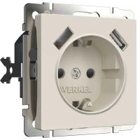 Розетка с заземлением, шторками и USBх2 Werkel айвори матовый W1171562 4690389192005