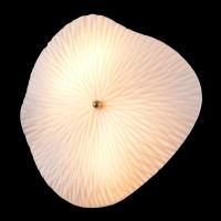 Настенный светильник Crystal Lux CONTESSA AP2.2