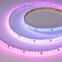 Светодиодная лента герметичная SPI-SE-A120-10mm 24V RGB-PX6-BPT (23 W/m, IP65, 2835, 5m) Arlight 049451