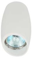 Накладной светильник ЭРА OL20 WH Б0054390