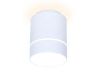 Потолочный светодиодный светильник Ambrella light Techno Spot TN256