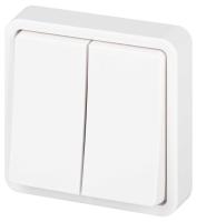 Переключатель ЭРА Эксперт 11-1526-01 двойной IP55 10АХ-250В СУ белый Б0063248