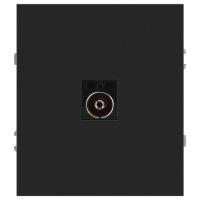 Розетка ЭРА Arktik 16-3101-05 TV одиночная антрацит Б0070468