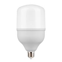 Лампа светодиодная Gauss E27 50W 6500K матовая 63235