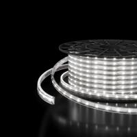 Светодиодная влагозащищенная лента Elektrostandard 8W/m 60LED/m 2835SMD холодный белый 50M a053638