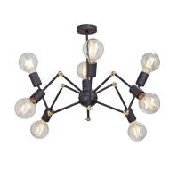 Потолочная люстра Vitaluce V4897-1/8PL