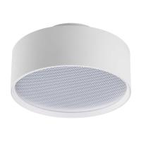 Светильник накладной Lightstar Acuto 215946