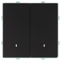 Выключатель 2-клавишный c индикатором (механизм), STEKKER, 250В, 10А, серия Эмили, RSW10-5102-05, черный уголь, soft touch 49838