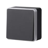 W5010034/ Выключатель одноклавишный Gallant (черный с серебром)