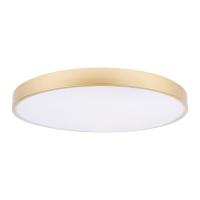 Потолочный светодиодный светильник Loft IT Flims 10228/B Потолочный светодиодный светильник Loft IT Flims 10228/B