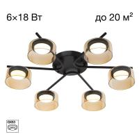 Потолочная люстра Citilux Espace CL243161