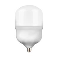 Лампа светодиодная Gauss E27 60W 6500K матовая 63236