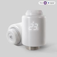 Умный терморегулятор отопления 76265/00 a061850