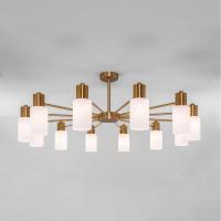 Потолочная люстра Eurosvet Vegga 70160/12 латунь
