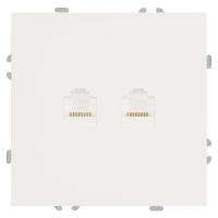 Розетка компьютерная 2-местная RJ-45 (механизм), STEKKER,  серия Эмили, RST00-5111-01, белый фарфор, soft touch 49874