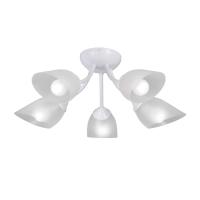 Потолочная люстра Vitaluce V3405-0/5PL