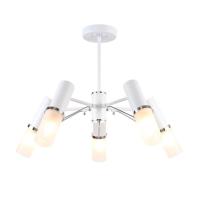 Потолочная люстра F-Promo Viator 2559-5P