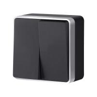 W5020034/ Выключатель двухклавишный Gallant (черный с серебром)