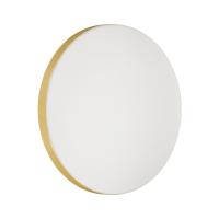 Настенно-потолочный светодиодный светильник Sonex Mini Smalli 3066/AL