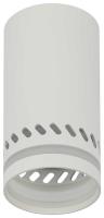 Настенно-потолочный светильник ЭРА OL50 WH Б0059802