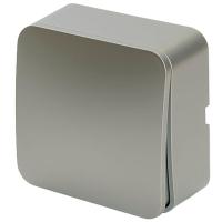 Выключатель одноклавишный Stekker София серебро MSW10-10-03 49295