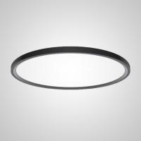 Потолочный светодиодный светильник Imperium Loft Extralism 212746-26