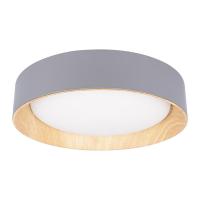 Потолочный светодиодный светильник Loft IT Coin 10202 Grey Потолочный светодиодный светильник Loft IT Coin 10202 Grey