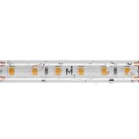 Светодиодная лента Maytoni Led Strip 201212
