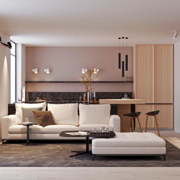 Корпус подвесного светильника Arlight SP-Polo-Hang-Long450-R65 024441(1)