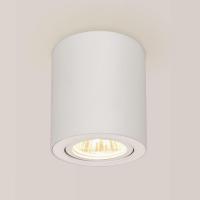 Потолочный светильник Citilux Дюрен CL538111