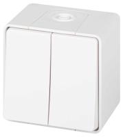 Переключатель ЭРА Эксперт 11-1506-01 двойной IP55 10АХ-250В ОУ белый Б0063295