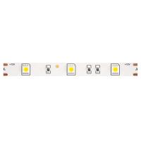 Светодиодная лента Maytoni Technical 7,2W/m 30LED/m 5050SMD холодный белый 5M 10122
