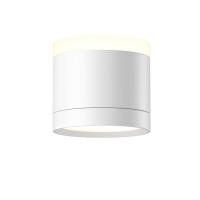 Потолочный светильник Maytoni Technical C120CL-GX53-W