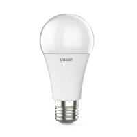 Лампа светодиодная Gauss E27 12W 4100K матовая 102502212