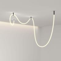 Гибкий неон Elektrostandard 12W/m 336LED/m 2835SMD теплый белый 5M Full light a065973