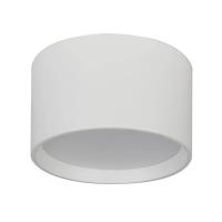 Потолочный светодиодный светильник Escada 20005SMU/02LED SWH