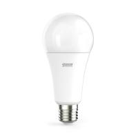 Лампа светодиодная Gauss E27 25W 6500K матовая 73235