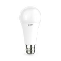 Лампа светодиодная Gauss E27 20W 6500K матовая 23239