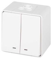 Выключатель ЭРА Эксперт 11-1505-01 двойной с подсветкой IP55 10АХ-250В ОУ белый Б0063282