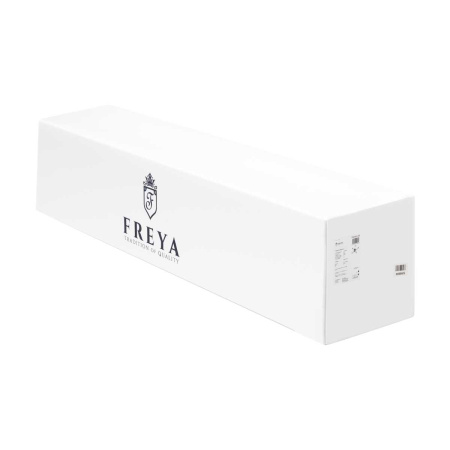Потолочный светильник Freya Тибо / Tibo FR6048CL-L8B