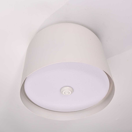 Потолочный светильник Imperium Loft Cylinder 101495-26