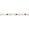 Светодиодная лента Arlight 12W/m 60LED/m 5060SMD разноцветный 5М SPI-SE-B60-10mm 12V 039597