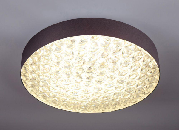 Потолочный светодиодный светильник Escada 10246/1LED