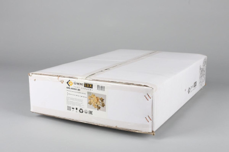 Настенный светильник Omnilux Bellona OML-85501-05