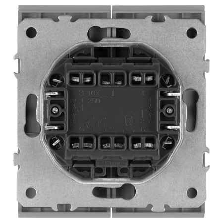 Переключатель ЭРА Arktik 16-1106-03 двойной 10АХ-250В алюминий Б0070366