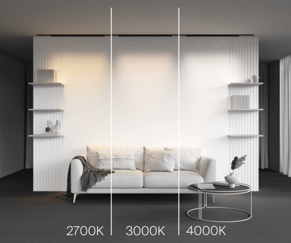 Трековый светильник Maytoni Technical Basis TR192-1-21W2.7K-B