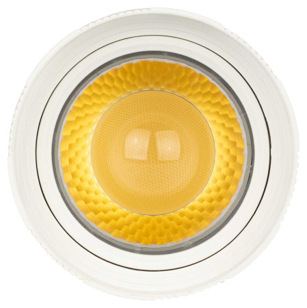 Трековый светильник однофазный ЭРА TR59-2040 WH Б0054442