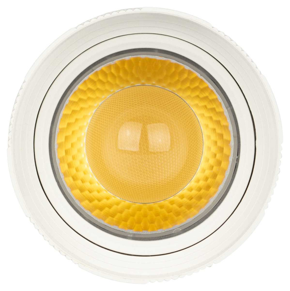 Трековый светильник однофазный ЭРА TR59-2040 WH Б0054442