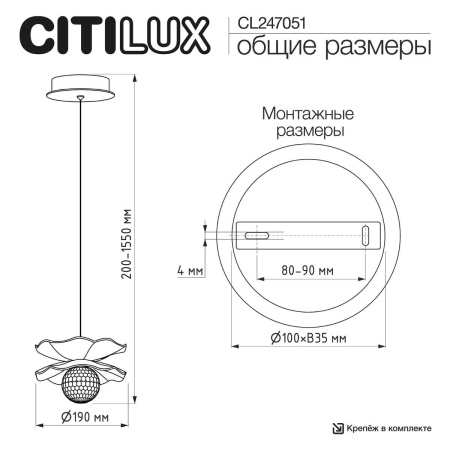 Светильник Citilux SIGNATURE CL247051